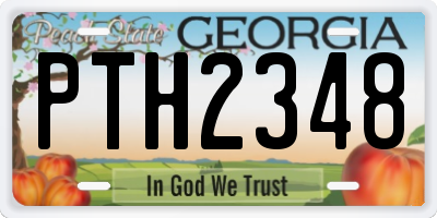 GA license plate PTH2348
