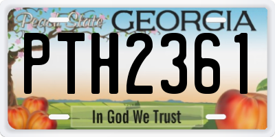 GA license plate PTH2361