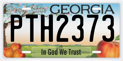 GA license plate PTH2373