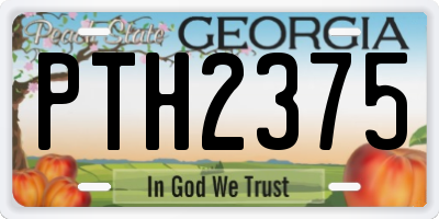 GA license plate PTH2375