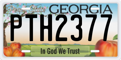 GA license plate PTH2377