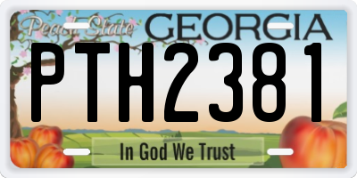GA license plate PTH2381