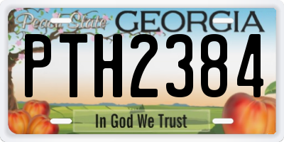 GA license plate PTH2384