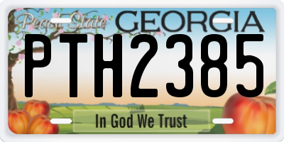GA license plate PTH2385