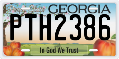 GA license plate PTH2386