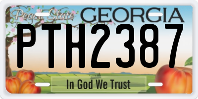 GA license plate PTH2387