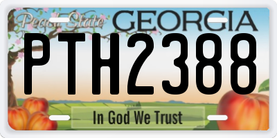 GA license plate PTH2388