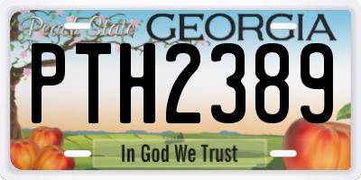 GA license plate PTH2389