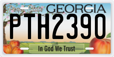 GA license plate PTH2390