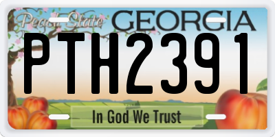 GA license plate PTH2391