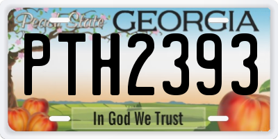 GA license plate PTH2393