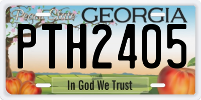 GA license plate PTH2405
