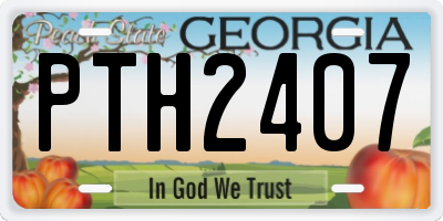 GA license plate PTH2407
