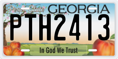 GA license plate PTH2413