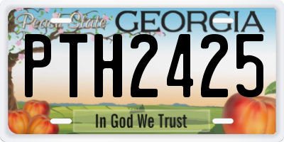 GA license plate PTH2425