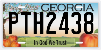 GA license plate PTH2438