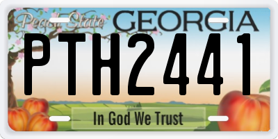 GA license plate PTH2441