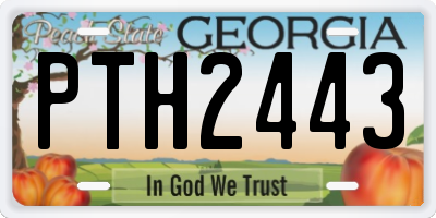 GA license plate PTH2443