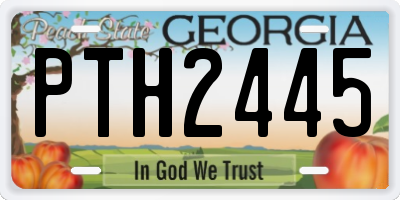 GA license plate PTH2445
