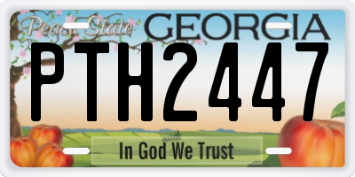 GA license plate PTH2447