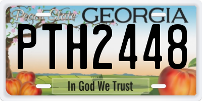GA license plate PTH2448