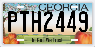 GA license plate PTH2449