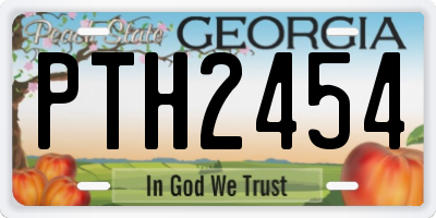 GA license plate PTH2454