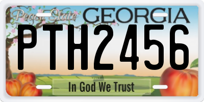 GA license plate PTH2456