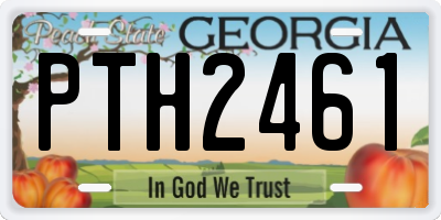 GA license plate PTH2461