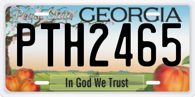 GA license plate PTH2465