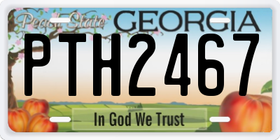 GA license plate PTH2467