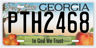 GA license plate PTH2468