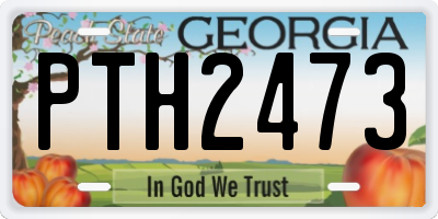 GA license plate PTH2473