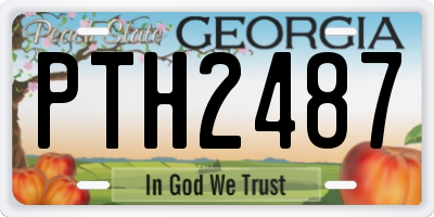 GA license plate PTH2487