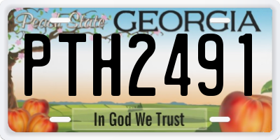 GA license plate PTH2491