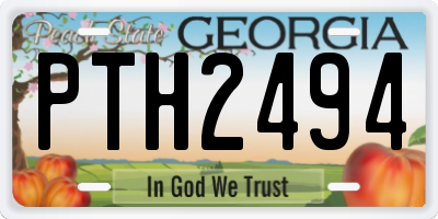 GA license plate PTH2494