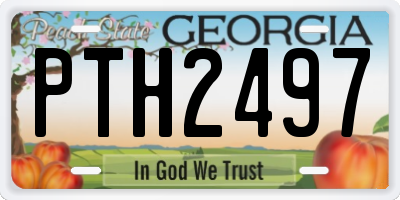GA license plate PTH2497