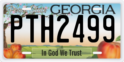 GA license plate PTH2499