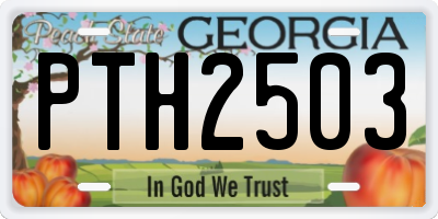 GA license plate PTH2503