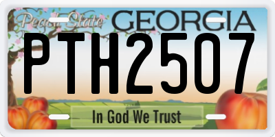 GA license plate PTH2507