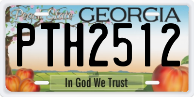 GA license plate PTH2512