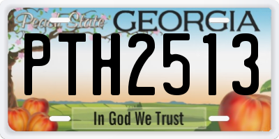 GA license plate PTH2513