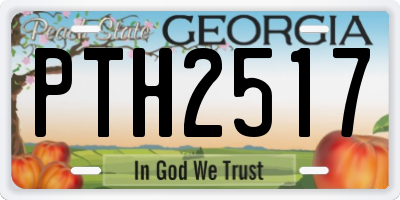 GA license plate PTH2517
