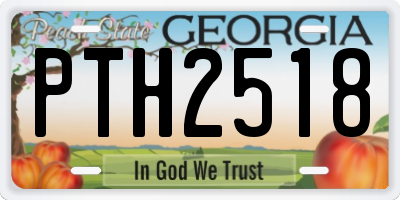 GA license plate PTH2518
