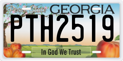 GA license plate PTH2519