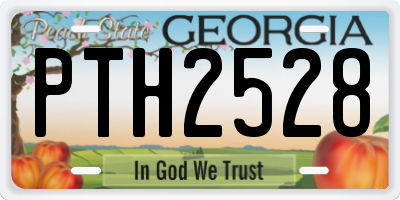 GA license plate PTH2528