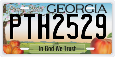 GA license plate PTH2529