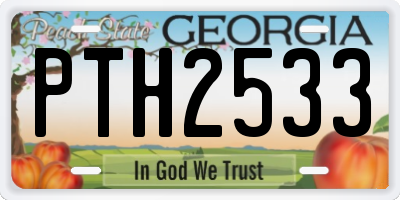 GA license plate PTH2533