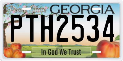GA license plate PTH2534