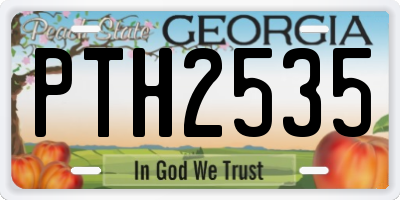 GA license plate PTH2535